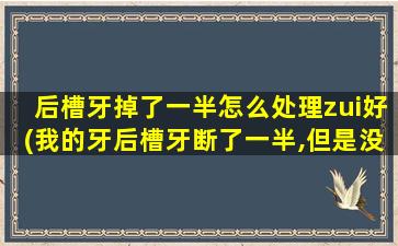 后槽牙掉了一半怎么处理zui好(我的牙后槽牙断了一半,但是没掉 怎么办)